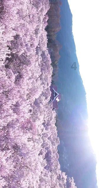 长春宽城区:推进医疗行业数字化、智能化进程